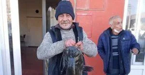 Balıkesir’de Acı Olay: 1 vatandaş ve Köpeği Yangında Hayatını Kaybetti