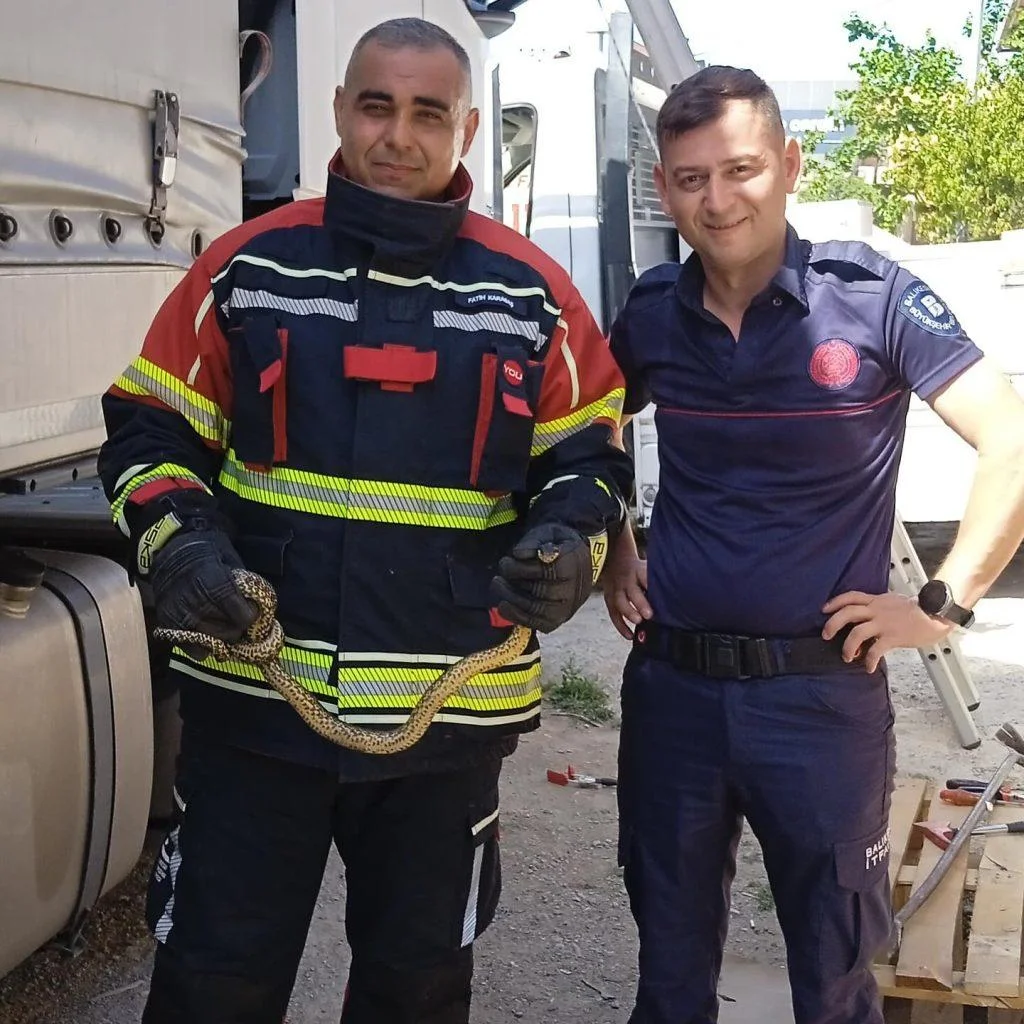 Edremit’te Tırda Yılan Paniği!