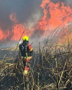 İTFAİYEDE YOĞUN MESAİ: 9 GÜNDE 730 YANGINA MÜDAHALE