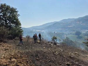 KUMKÖY’DE 60 ARI KOVANI KÜL OLDU