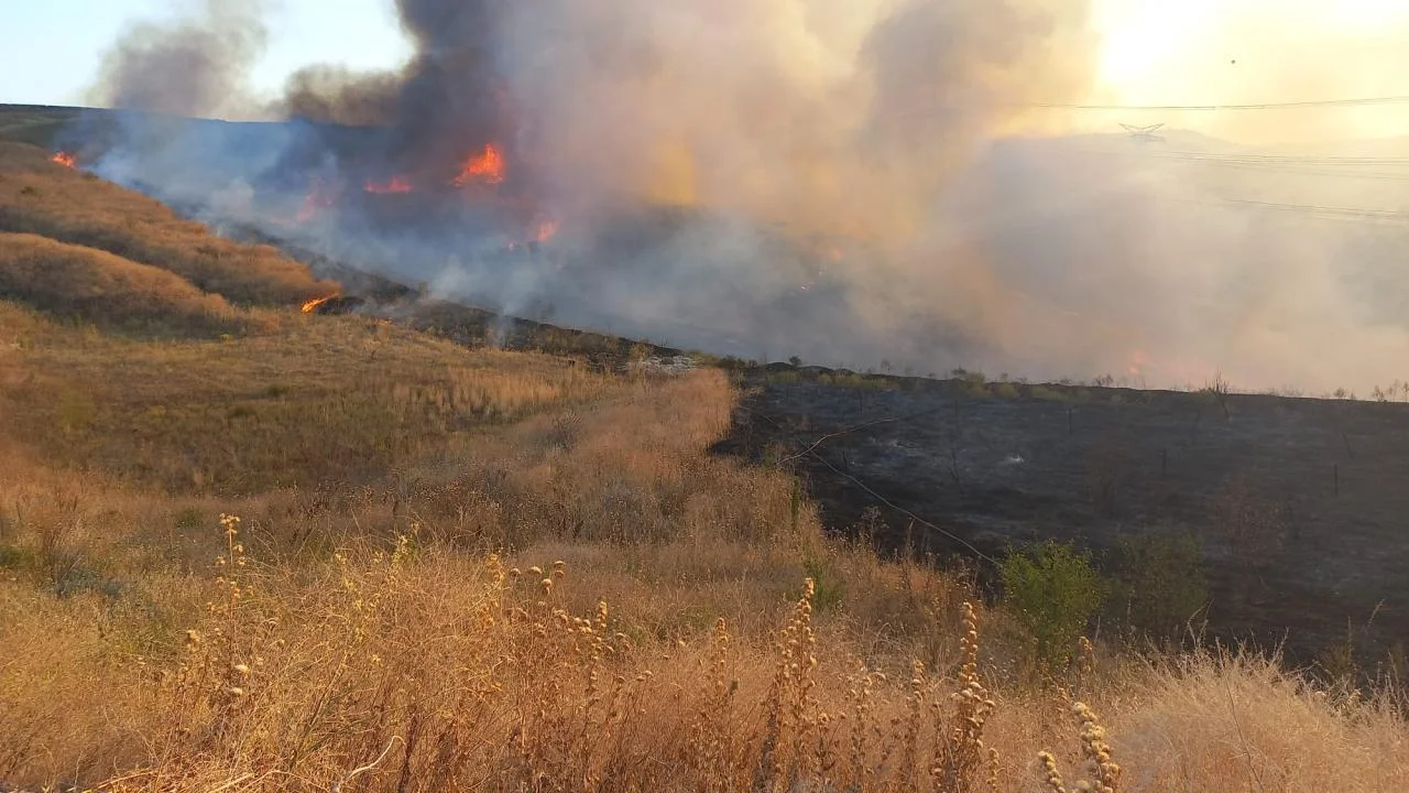 Bandırma OSB yakınında korkutan arazi yangını