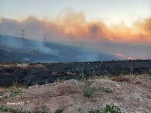 Bandırma OSB yakınında korkutan arazi yangını - 3