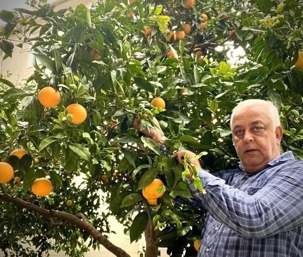 Dalda 50 Kuruş, Markette 60 Lira: Üretici İsyanda - 1