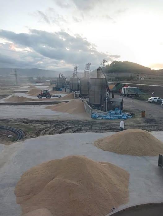 Geçen yıl 13 Eylül’de açıklandı, bu yıl bitiyor çeltiğin fiyatı yok