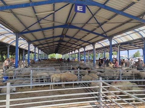 Gönen’de tarım ve hayvancılık alarm veriyor - 1