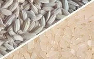 Çeltik üreticisini fiyatlar vurdu, çiftçi isyanda!