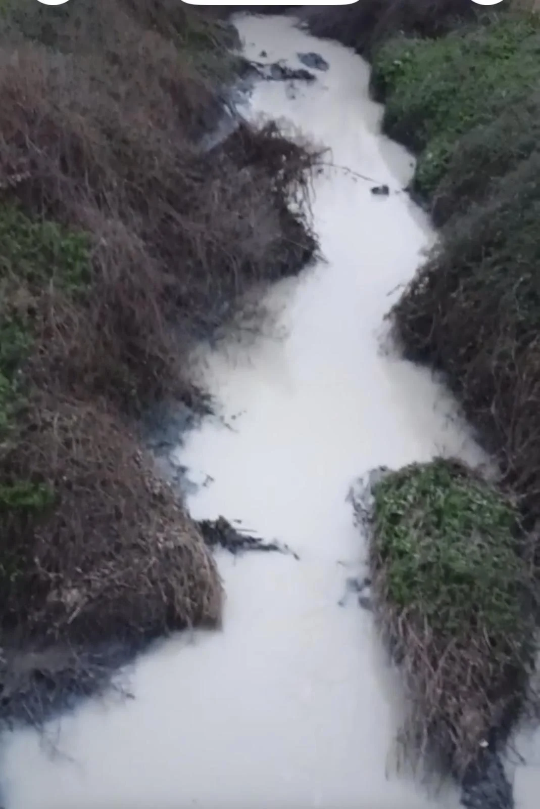 Gönen Çayında zehir akıyor, bakanlık sessiz! Kim korunuyor?