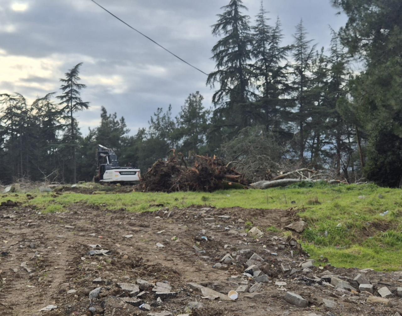 Gönen’in akciğerine darbe:Çam ağaçları köküyle söküldü