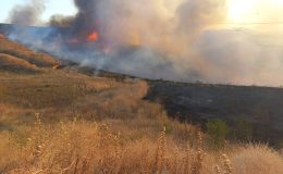 BANDIRMA OSB YAKININDA KORKUTAN ARAZİ YANGINI